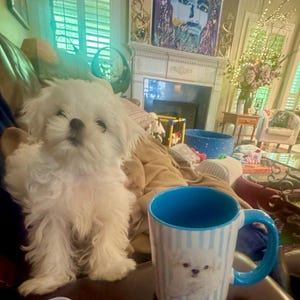 Dana added a photo of their purchase