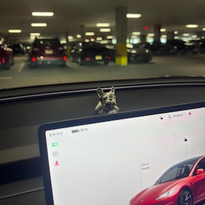 Melissa added a photo of their purchase