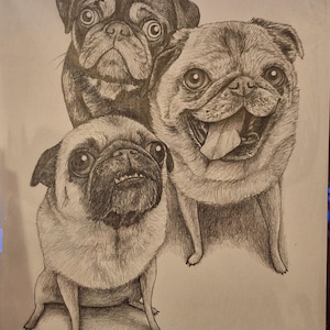 Pug a ajouté une photo de son achat