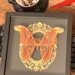 Carla added a photo of their purchase