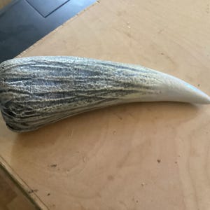 Greg added a photo of their purchase