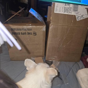 Nancy added a photo of their purchase