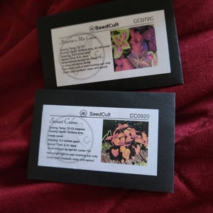 Amy added a photo of their purchase
