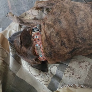 Kit added a photo of their purchase