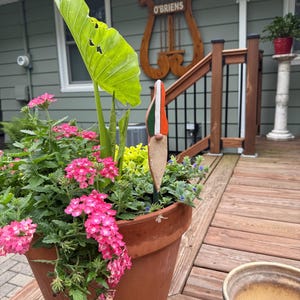 Jane added a photo of their purchase