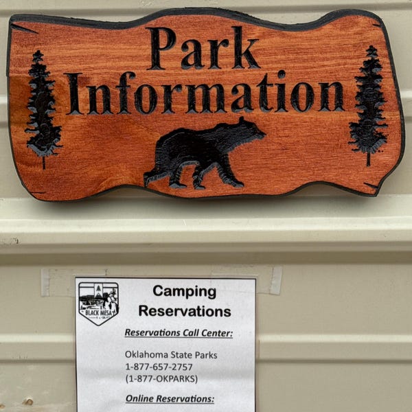 Outdoor Signs, Wooden Carved Cabin Sign, Pine Trees, Custom Wood Sign ...