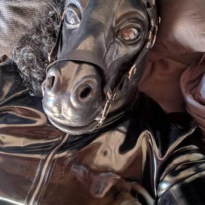 黒い馬の頭部マスク ポニープレイラテックスマスク、黒馬ラテックスフード、フェチ