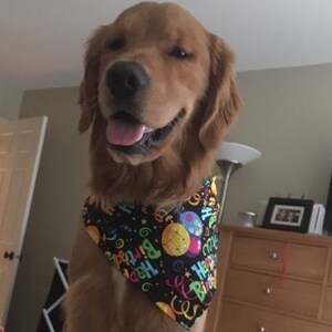 jkopp6902 added a photo of their purchase