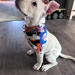Molly added a photo of their purchase