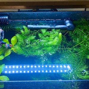 Emily added a photo of their purchase