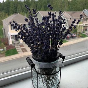 Kimberly added a photo of their purchase
