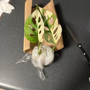 Sharon added a photo of their purchase