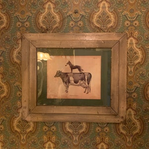 Liggy added a photo of their purchase