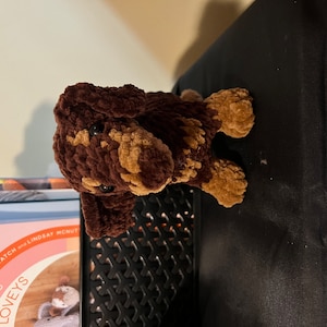 Kasey added a photo of their purchase