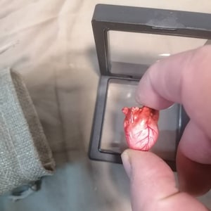 theytaz added a photo of their purchase
