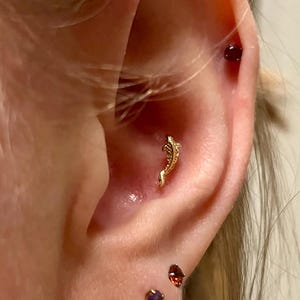 Franziska added a photo of their purchase