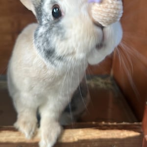 Etsy-koper heeft een foto van de aankoop toegevoegd