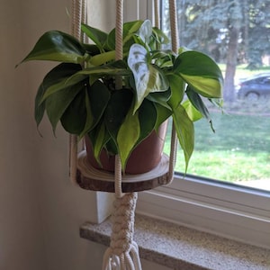 Alyssa added a photo of their purchase