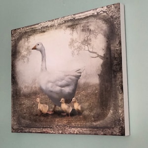 Cookie hat ein Foto des gekauften Artikels hinzugefügt