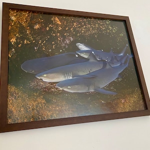 Daniel heeft een foto van de aankoop toegevoegd