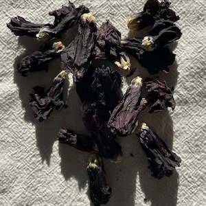 Anne added a photo of their purchase