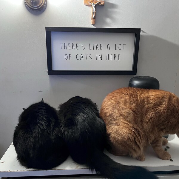 Live Here Too Cat Version - Personalized Custom 3D Effect Wood Sign main image 1