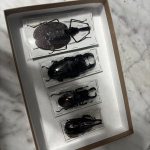 Jess ha añadido una foto de su compra