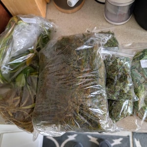 Adam added a photo of their purchase