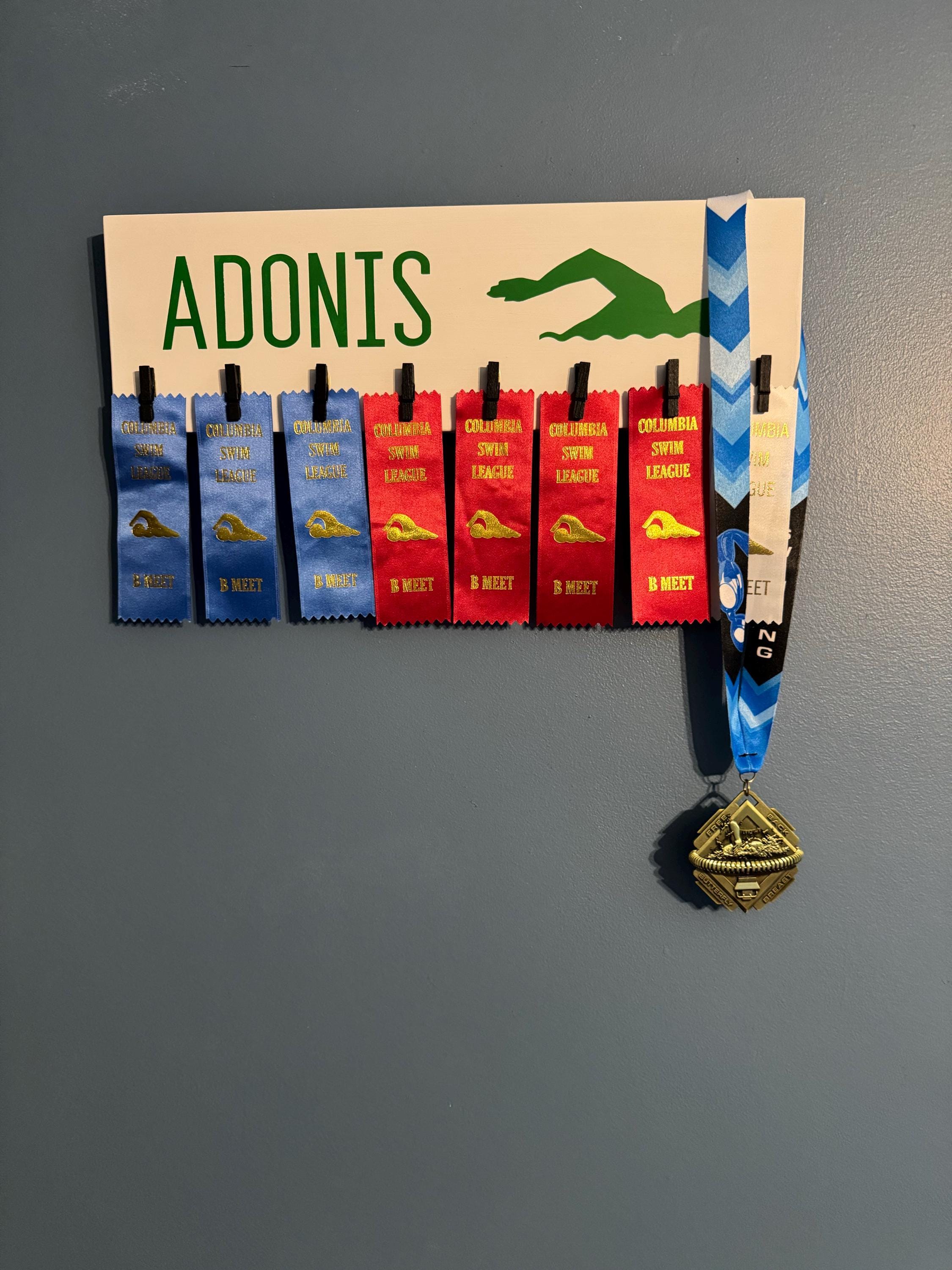 Personalized Swim Ribbon Holder Award Display with Hooks/Clips