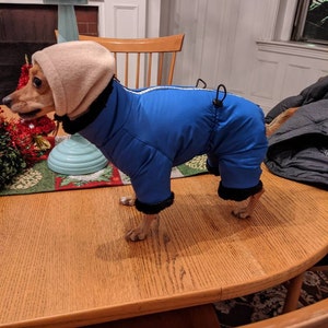 Hayley added a photo of their purchase