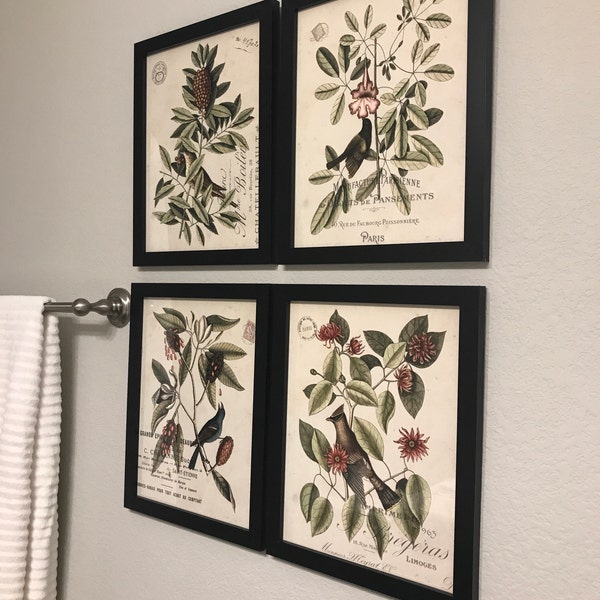 Vintage Bird and Botanical Print Set No.1, Giclee, Home Decor, Wall Art ...