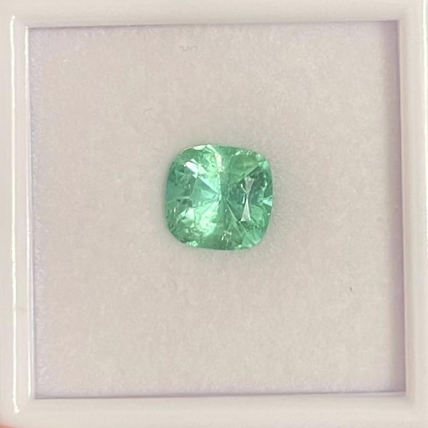Naturel Bicolore Tourmaline 13.85 CT Coupe Ronde Rare Agl
