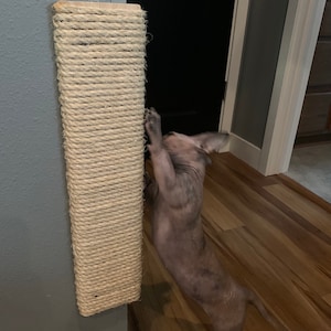 Lindsey added a photo of their purchase