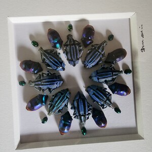 Michael ha añadido una foto de su compra