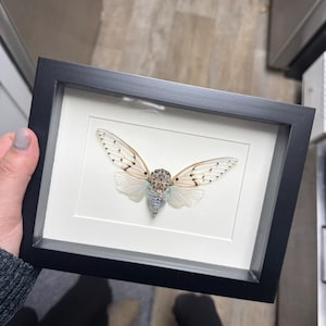 Jessie ha añadido una foto de su compra