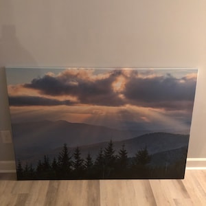 Shannon added a photo of their purchase