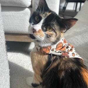 britney heeft een foto van de aankoop toegevoegd