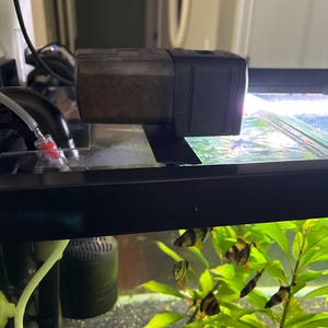 Nibedita added a photo of their purchase