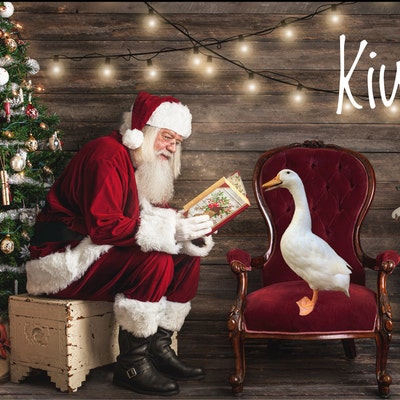 Santa Digital Backdrop, Santa Digital, Santa Overlay, Digital Santa