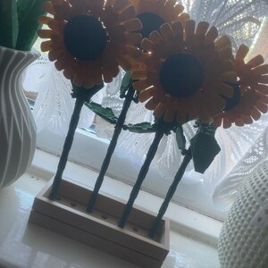 Janine ha aggiunto una foto del proprio acquisto