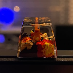 Daniel added a photo of their purchase