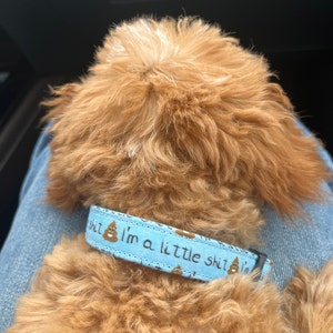 Carla hat ein Foto des gekauften Artikels hinzugefügt