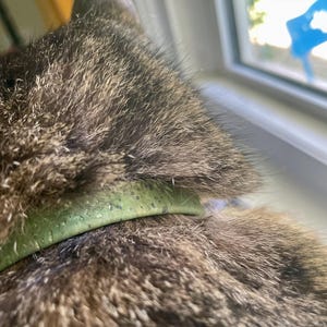 Alissa hat ein Foto des gekauften Artikels hinzugefügt