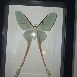 Annika added a photo of their purchase
