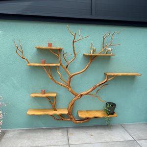 Gordon added a photo of their purchase
