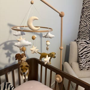 Sophia added a photo of their purchase