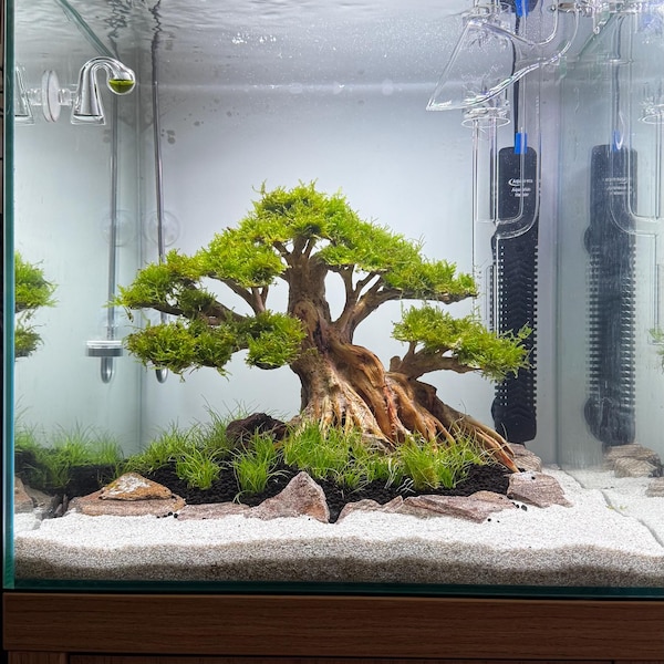 Aquascape Bonsai Driftwood Aquarium Tree Plant Aquascaping Centerpiece ...