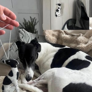 Rosemary added a photo of their purchase