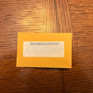 Grace added a photo of their purchase