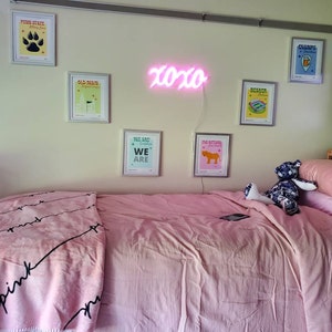 College Mascot Funky Painting Dorm Room Dorm Room Paintings Trendy